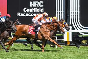 RSN RACING PULSE: DANNY O'BRIEN INTERVIEW MAY 23